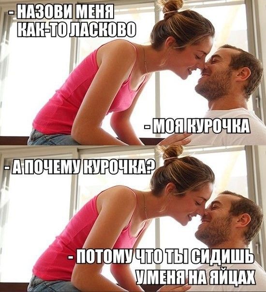 550x604, 67 Kb / ласка, курочка, яйца