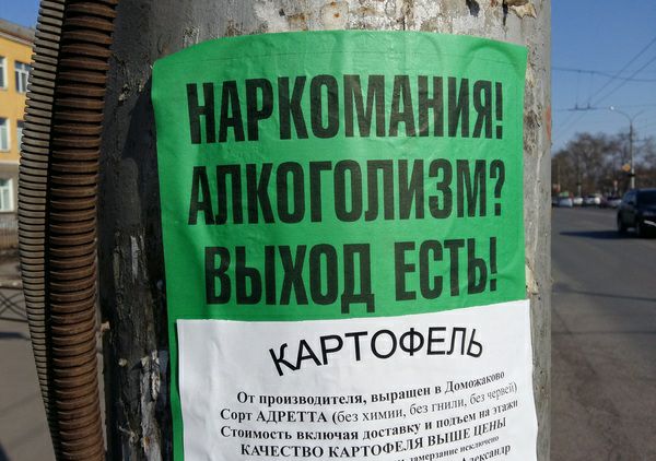 600x422, 54 Kb / наркомания, алкоголизм, выход, картофель, столб, объявление