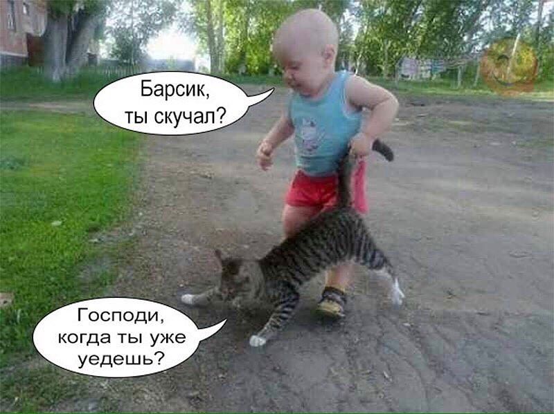 800x599, 77 Kb / кот, ребёнок, хвост