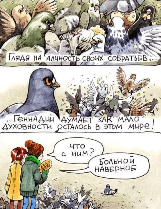 565x735, 101 Kb / голубь, Геннадий, алчность, духовность, больной