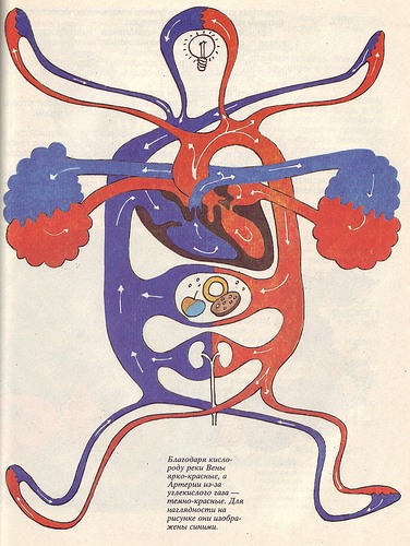 376x500, 68 Kb / книга, иллюстрации, анатомия