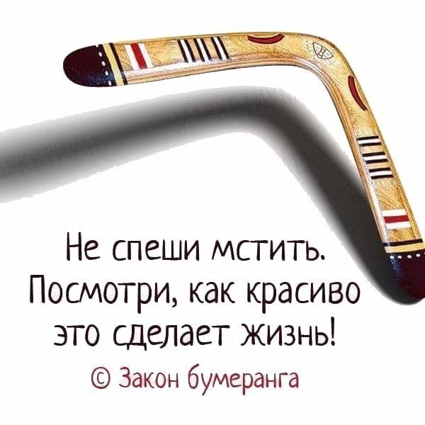 600x600, 45 Kb / Правда жизни, бумеранг