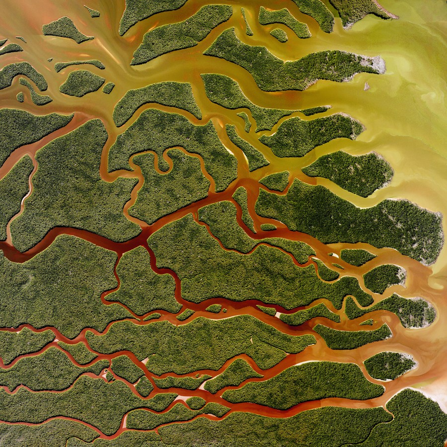 900x900, 414 Kb / река, вид, сверху, парк, пейзаж, everglades