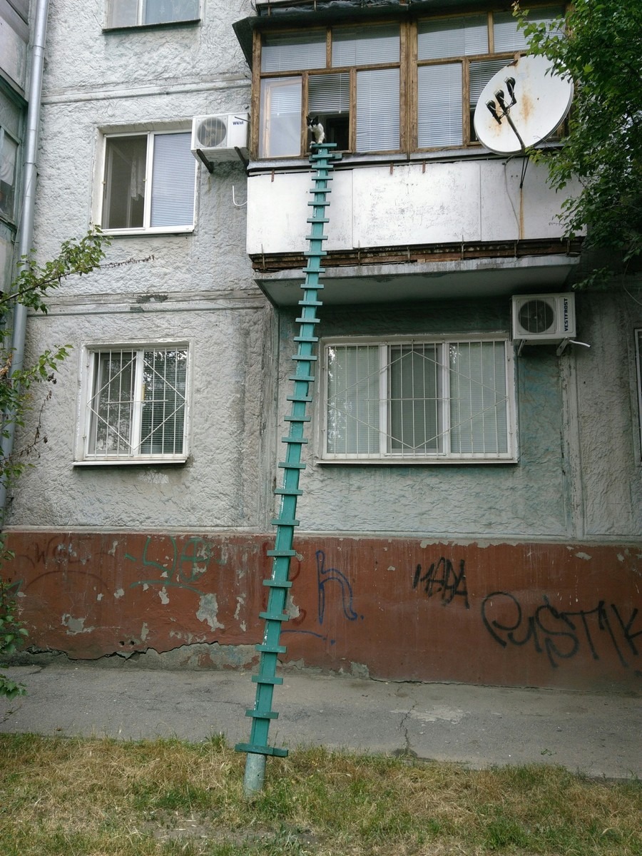 900x1200, 373 Kb / кот, лестница, балкон