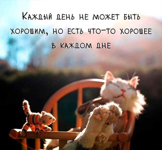 650x602, 48 Kb / день, хороший, хорошее, каждый
