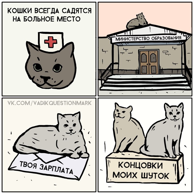 811x811, 125 Kb / комикс, кошки, больное место, мурзик