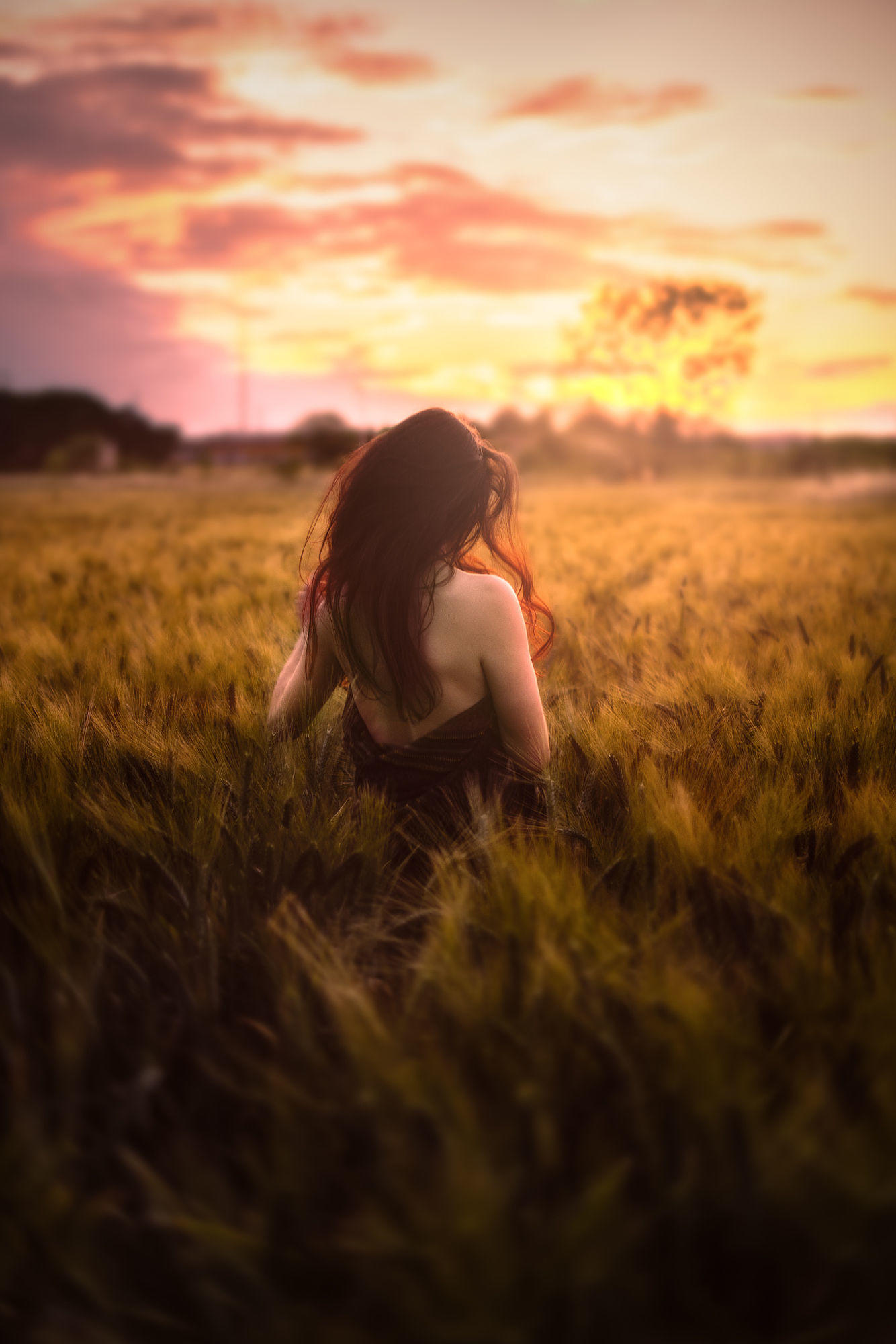 1334x2000, 207 Kb / поле, пшеница, облака, рожь, небо