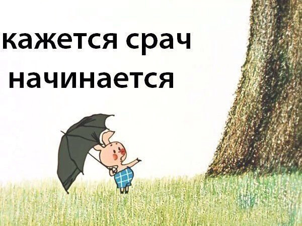 600x450, 136 Kb / пятачок, срач