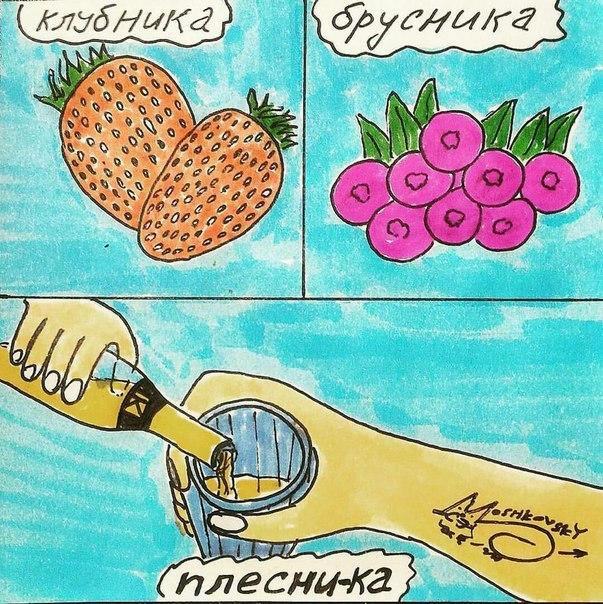 603x604, 108 Kb / клубника, брусника, плесни-ка