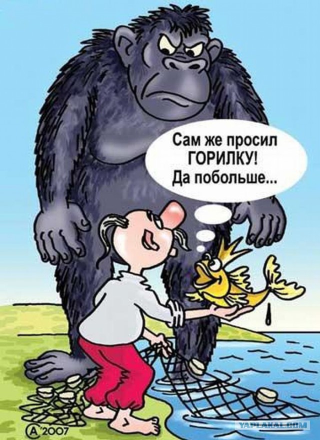 640x880, 134 Kb / Горилка, горилла, рисунок, золотая рыбка