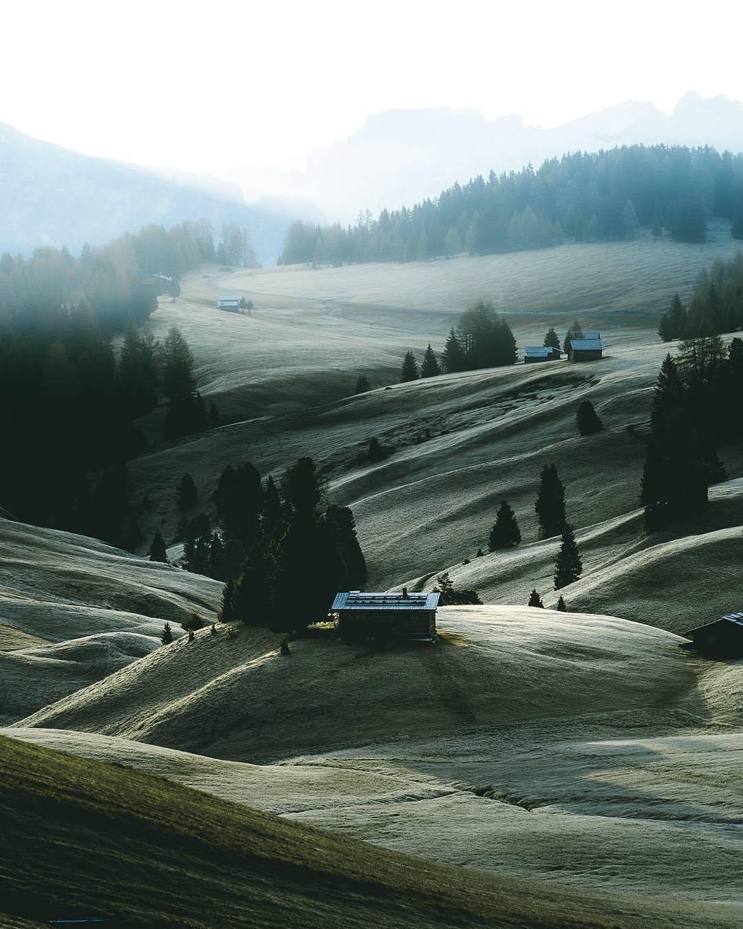 1080x1350, 191 Kb / холмы, туман, горы, лес