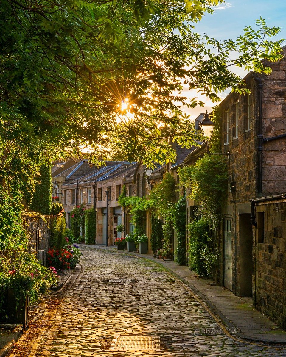 960x1200, 439 Kb / дома, деревья, аллея, дорога