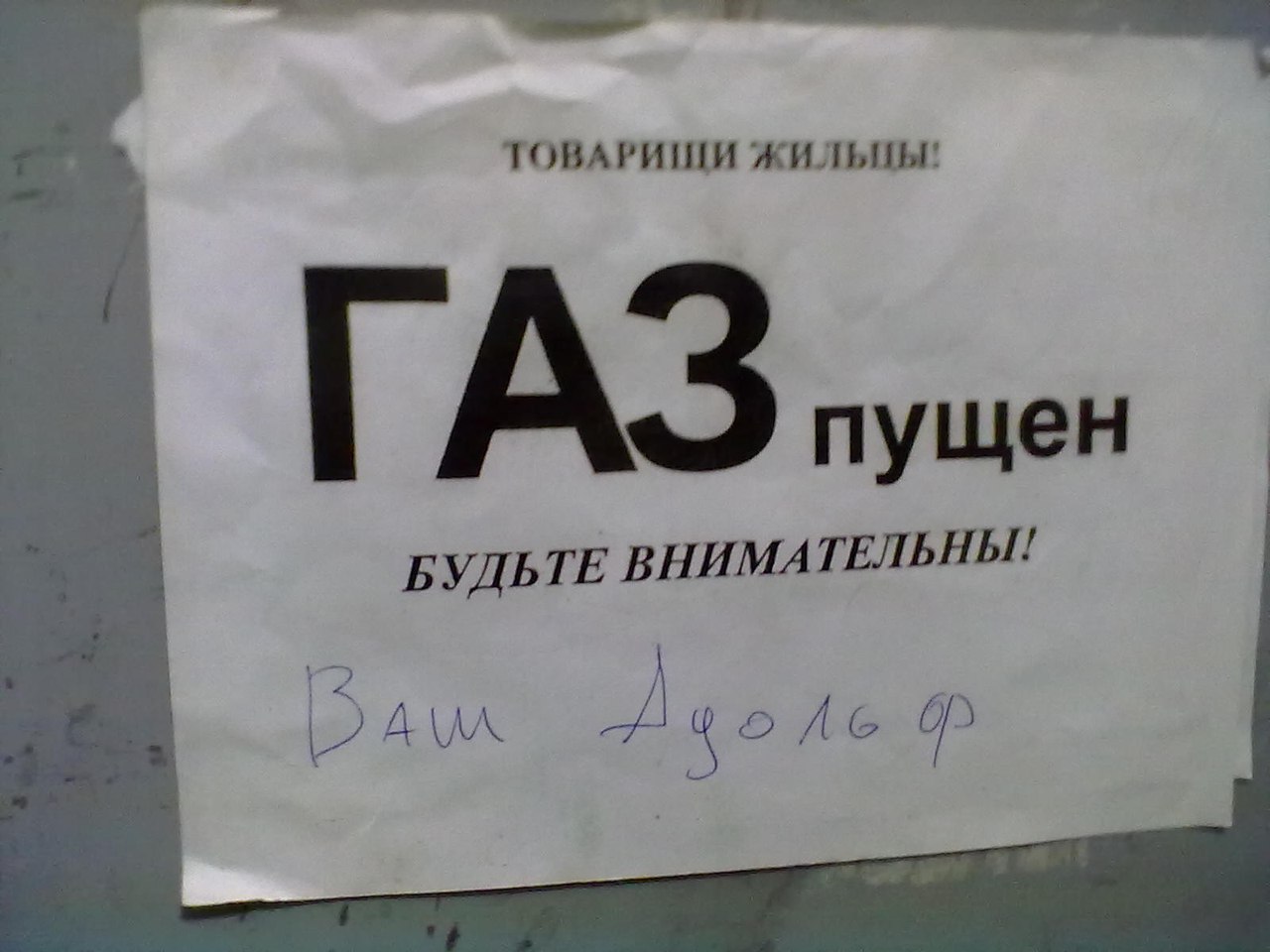 1280x960, 118 Kb / адольф, газ
