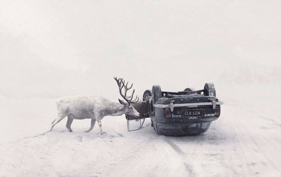 960x604, 47 Kb / олень, автомобиль, зима