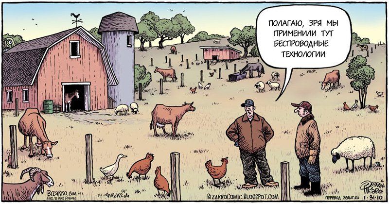 800x420, 110 Kb / ферма, овца, куры, скот, беспроводные технологии