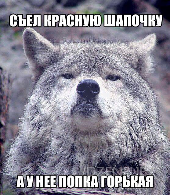 557x640, 108 Kb / волчара, попка, красная шапочка