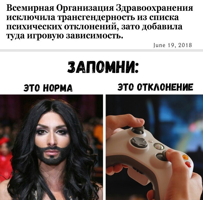 700x688, 114 Kb / games, trap, норма, воз, кончита, приставка