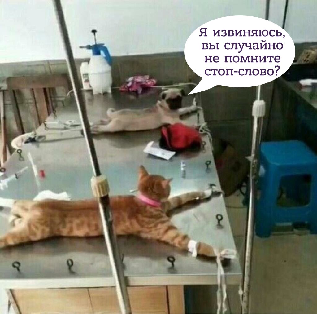 1024x1013, 100 Kb / Стоп, слово, собака, кот, распятие, операция