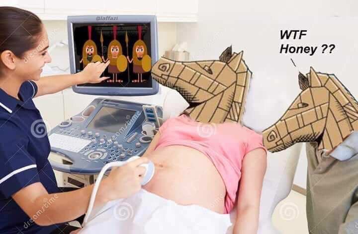 720x472, 42 Kb / УЗИ, беременная, лошадь, троянцы