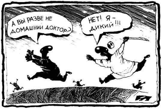 540x365, 49 Kb / Доктор, дикий, домашний, ч/б, меринов