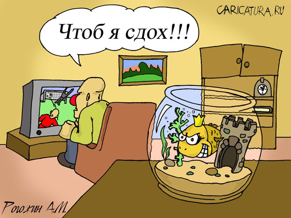600x450, 70 Kb / золотая рыбка, желание, реализация