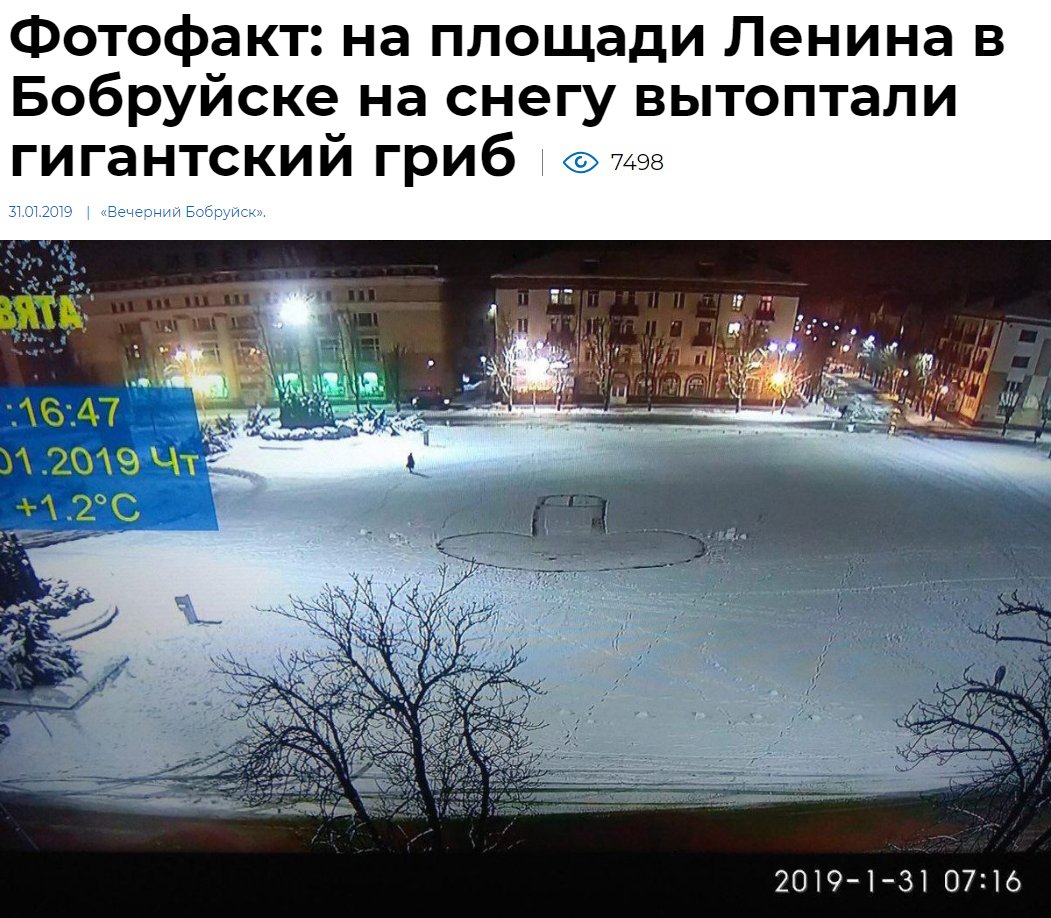 1051x918, 189 Kb / гриб, хуй, бобруйск, снег, след