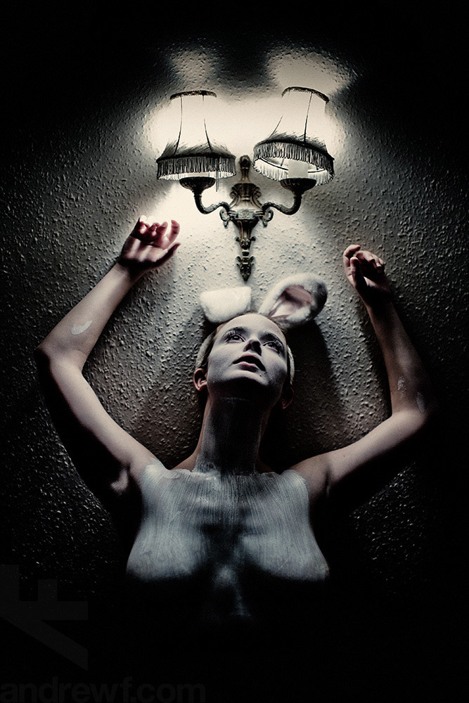 667x1000, 199 Kb / уши, заяц, лампа, стена