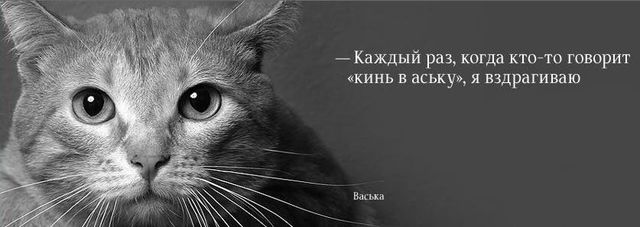 640x227, 41 Kb / васька