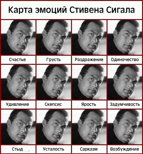 459x492, 74 Kb / стивен сигал, эмоции