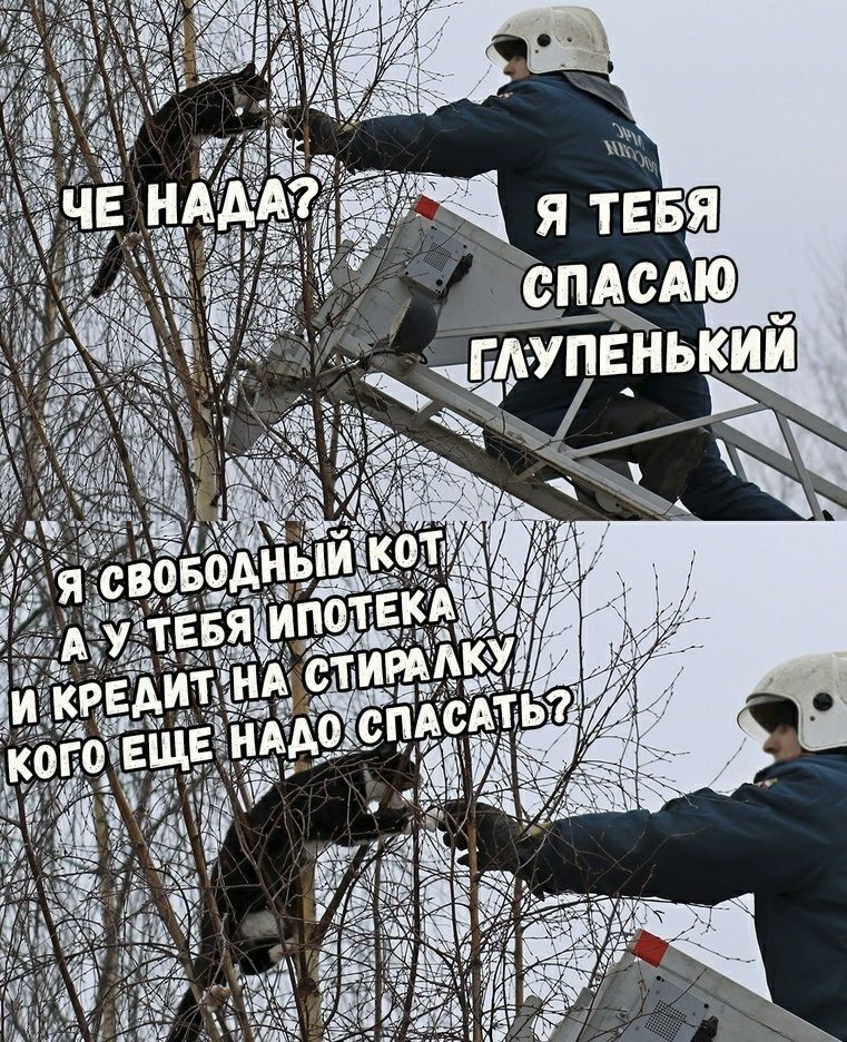 761x936, 266 Kb / Кот, спасатель, МЧС, ипотека, кредит
