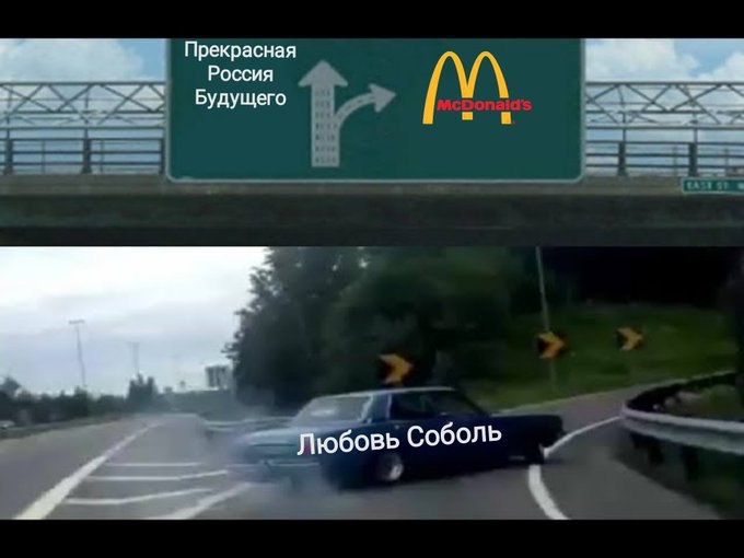 680x510, 56 Kb / соболь, голодовка, макдак, прекрасная россия будущего, политота, поворот