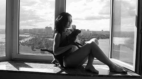 489x275, 50 Kb / кот, девушка, окно, фотошоп