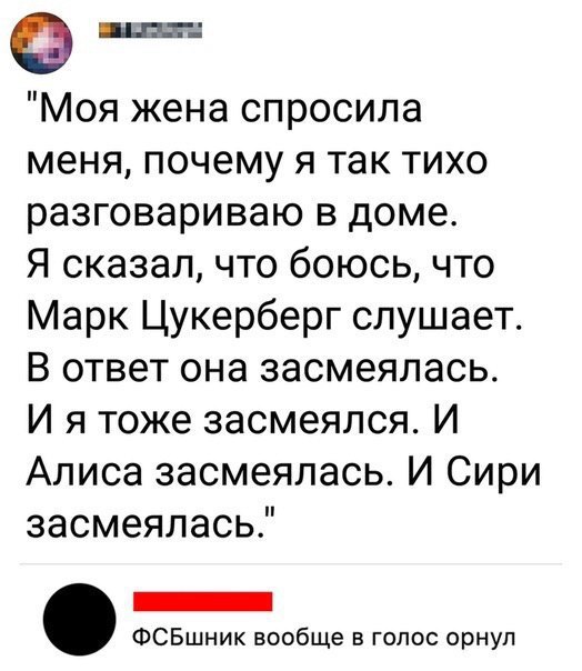 524x604, 58 Kb / сири, алиса, цукерберг, фсб