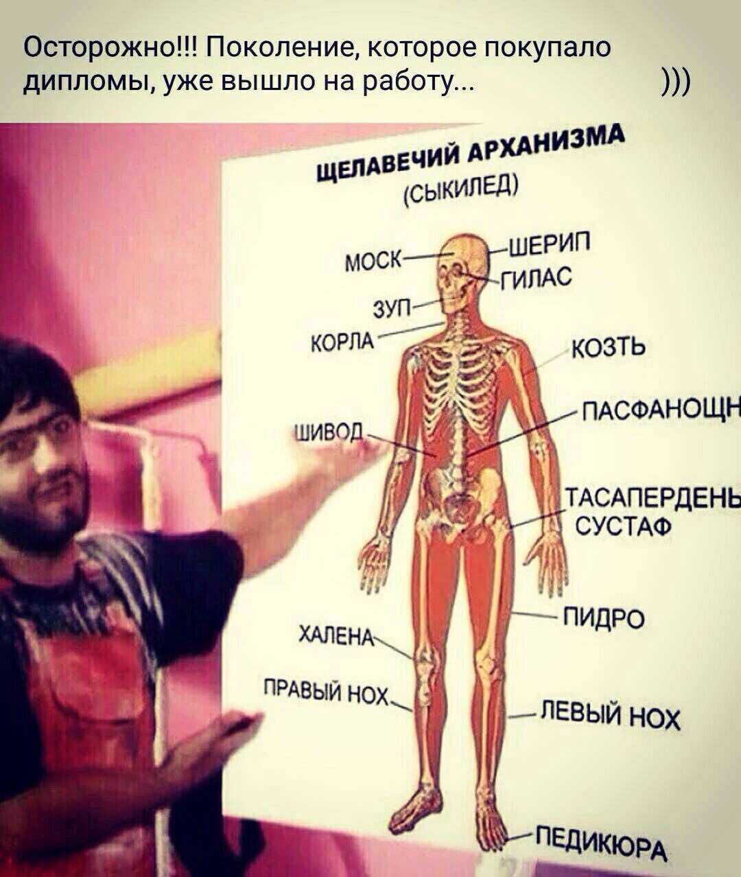 1080x1278, 191 Kb / медицина, равшан, органы