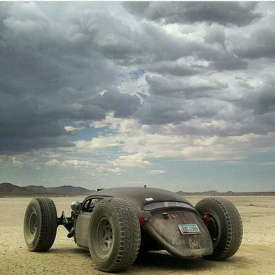 960x960, 129 Kb / жук, хотрод