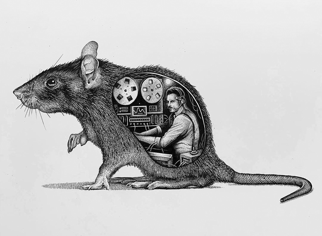 1080x793, 194 Kb / крыса, прослушка, рисунок, ч/б, мышка-наружка