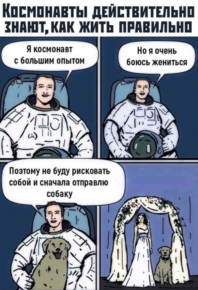 655x960, 145 Kb / космонавт, собака, свадьба, риск