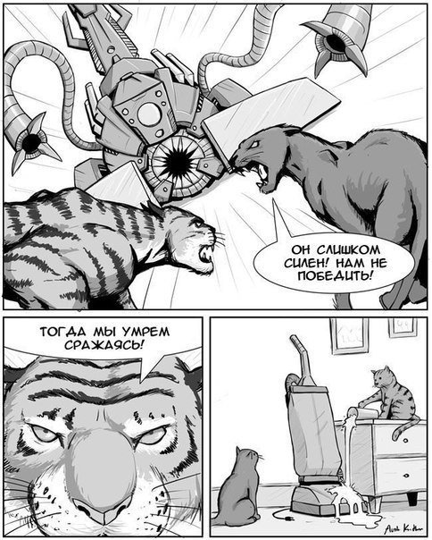 484x604, 88 Kb / тигр, леопард, пылесос, коты, кошки