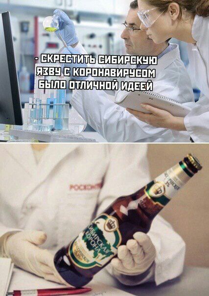 427x604, 66 Kb / язва, сибирская, корона, коронавирус, пиво
