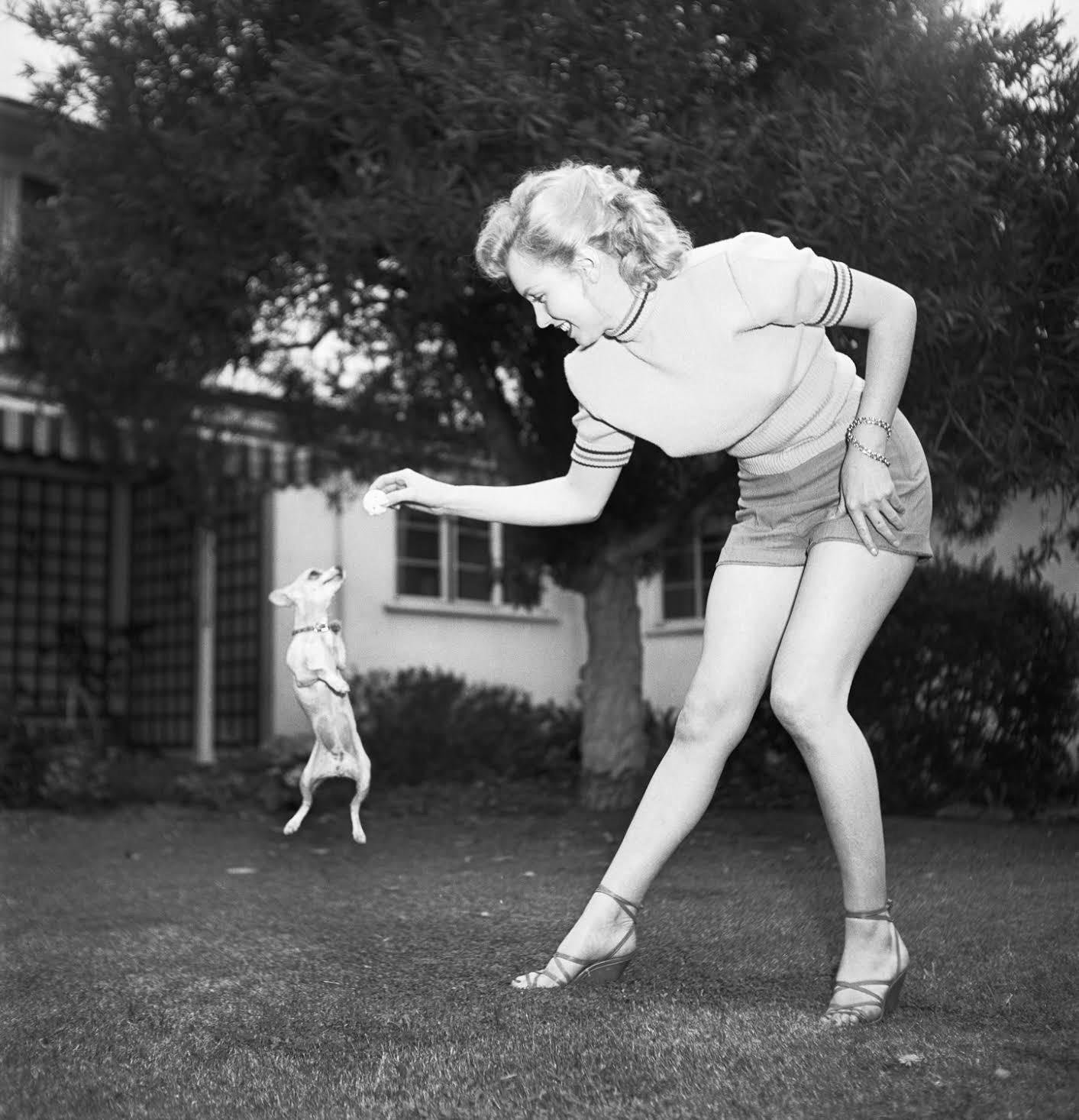 1413x1466, 184 Kb / ч/б, Marilyn Monroe, Мэрилин Монро, собака, шорты, кофта, чихуахуа, туфли, прыжок