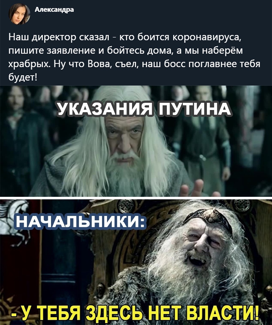 869x1037, 291 Kb / каникулы, Путин, коронавирус, гендальф