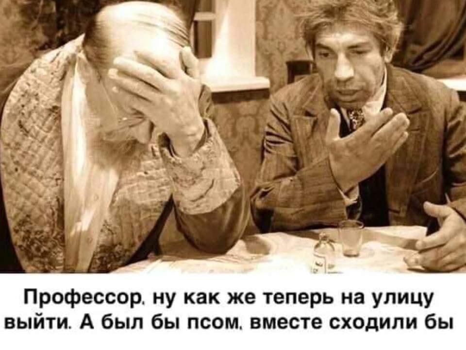 960x720, 75 Kb / самоизоляция, карантин, коронавирус, булгаков, шариков, профессор, преображнский