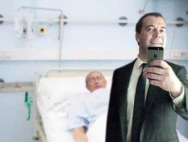 600x455, 26 Kb / медвед, селфи