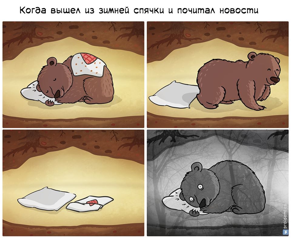 960x785, 110 Kb / Пройдемтес, медведь, спячка