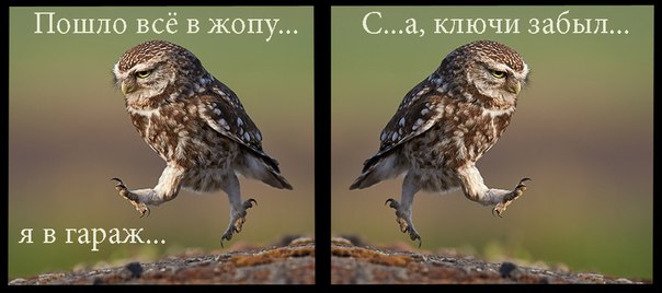 604x268, 34 Kb / сова, гараж, ключи