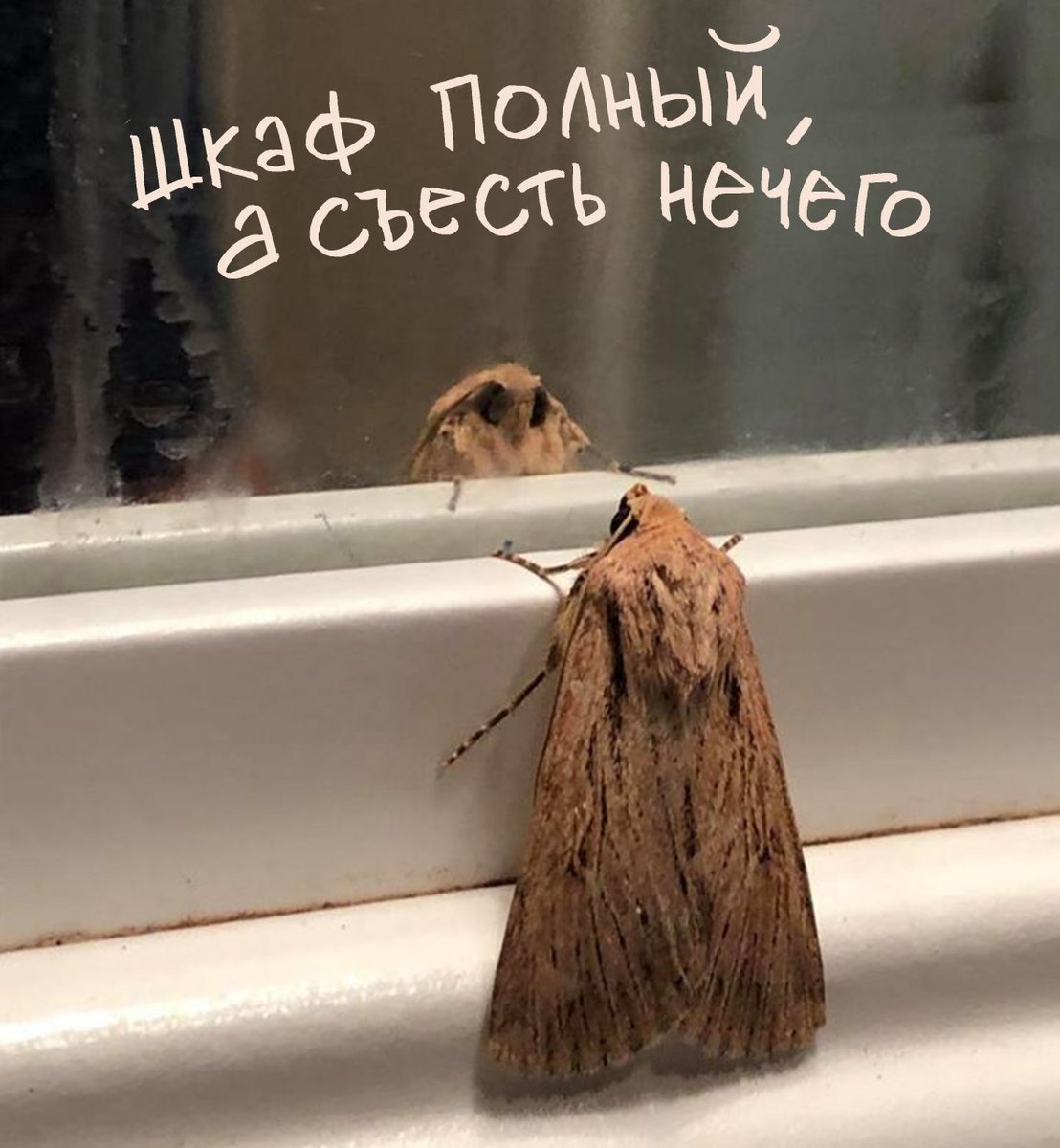 1108x1200, 133 Kb / моль, зеркало
