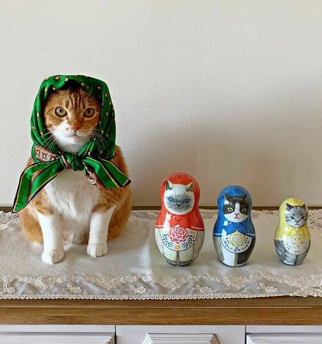 1080x1152, 124 Kb / матрешки, кошка, платок