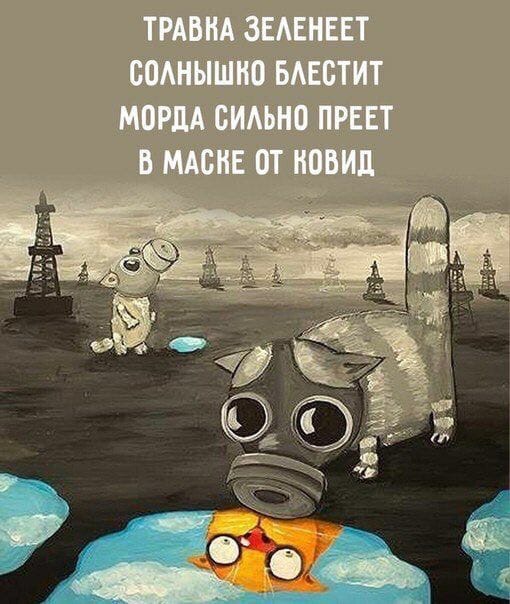 510x604, 80 Kb / ложкин, ковид