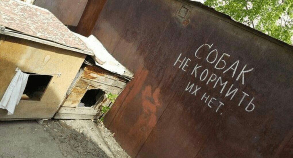 1020x549, 102 Kb / гараж, будка, собак нет