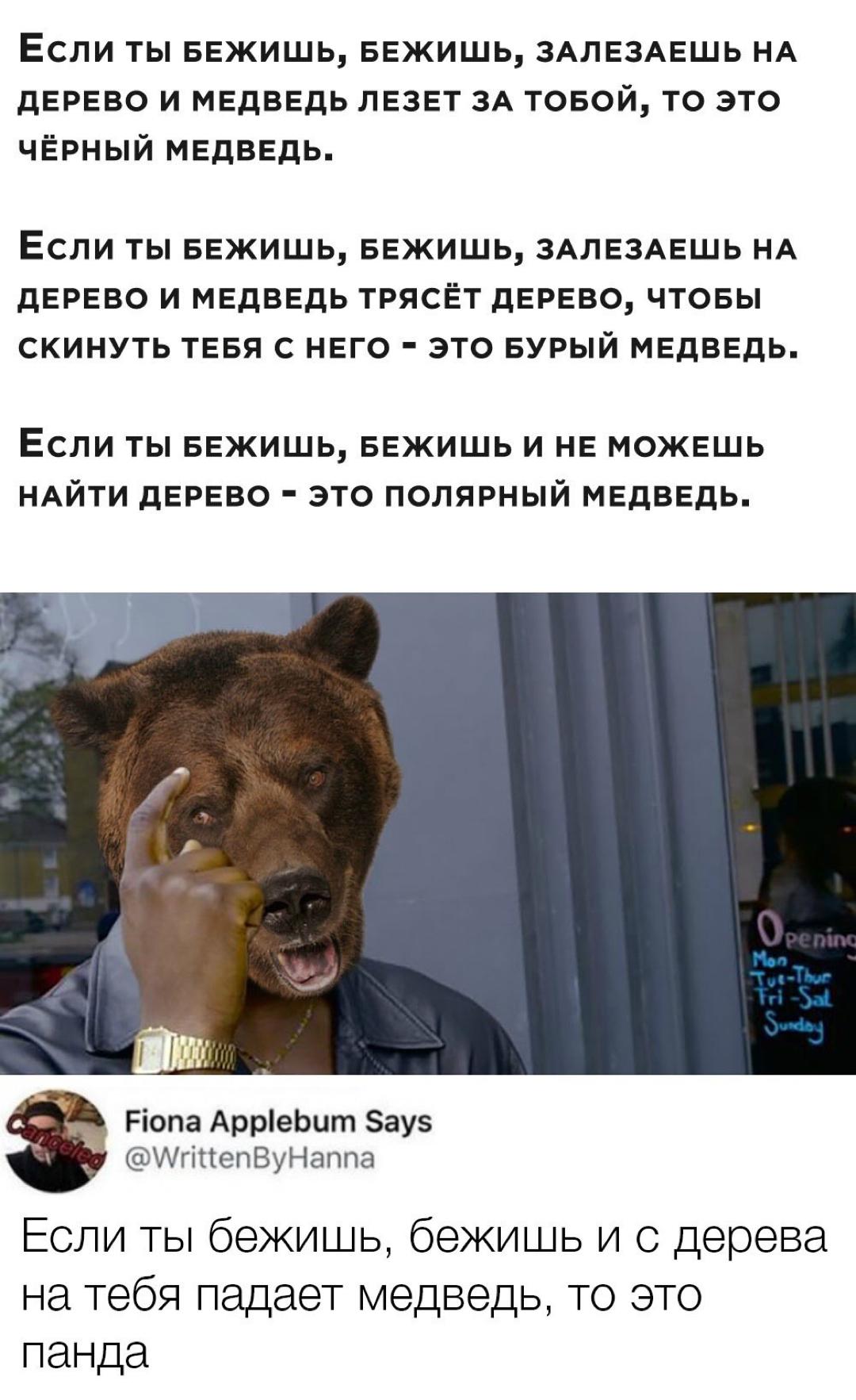 1080x1765, 177 Kb / медведь, классификация, панда